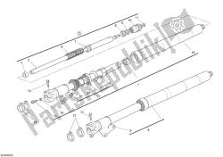 forcella anteriore