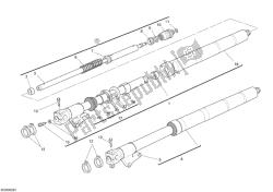 forcella anteriore