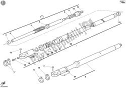 forcella anteriore