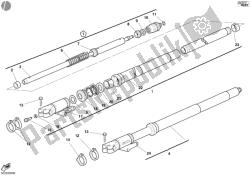 forcella anteriore