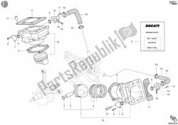 Cylinder - Piston