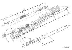 forcella anteriore