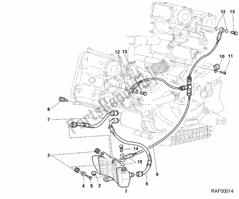 Tutte le parti per il Radiatore Dell'olio del Ducati Sport ST4 916 2001