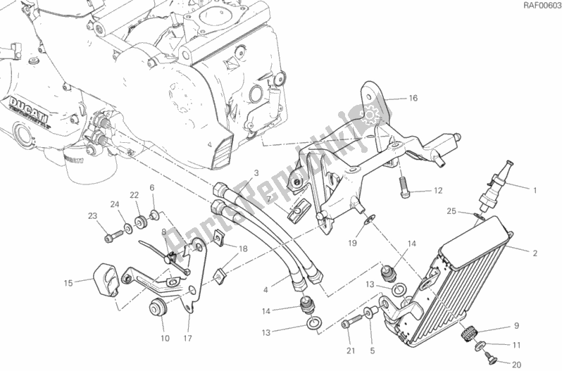 Tutte le parti per il Radiatore Dell'olio del Ducati Supersport 937 2017