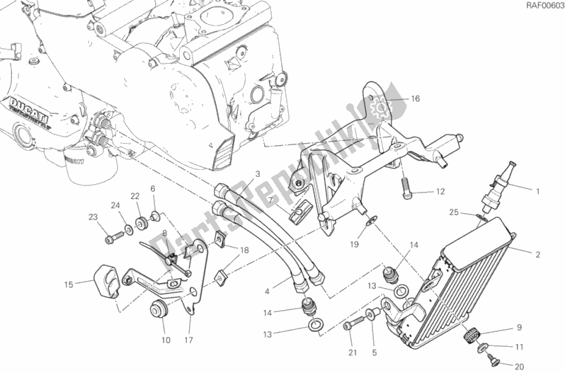 Todas las partes para Enfriador De Aceite de Ducati Supersport 937 2019