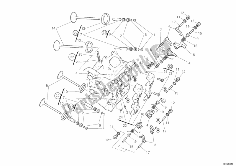 Tutte le parti per il Testata Orizzontale del Ducati Streetfighter 1100 2011