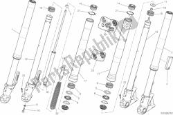 21a - forcella anteriore