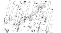 disegno 21a - forcella anteriore [mod: hym-sp; xst: aus, eur, fra, jap] group fr ame