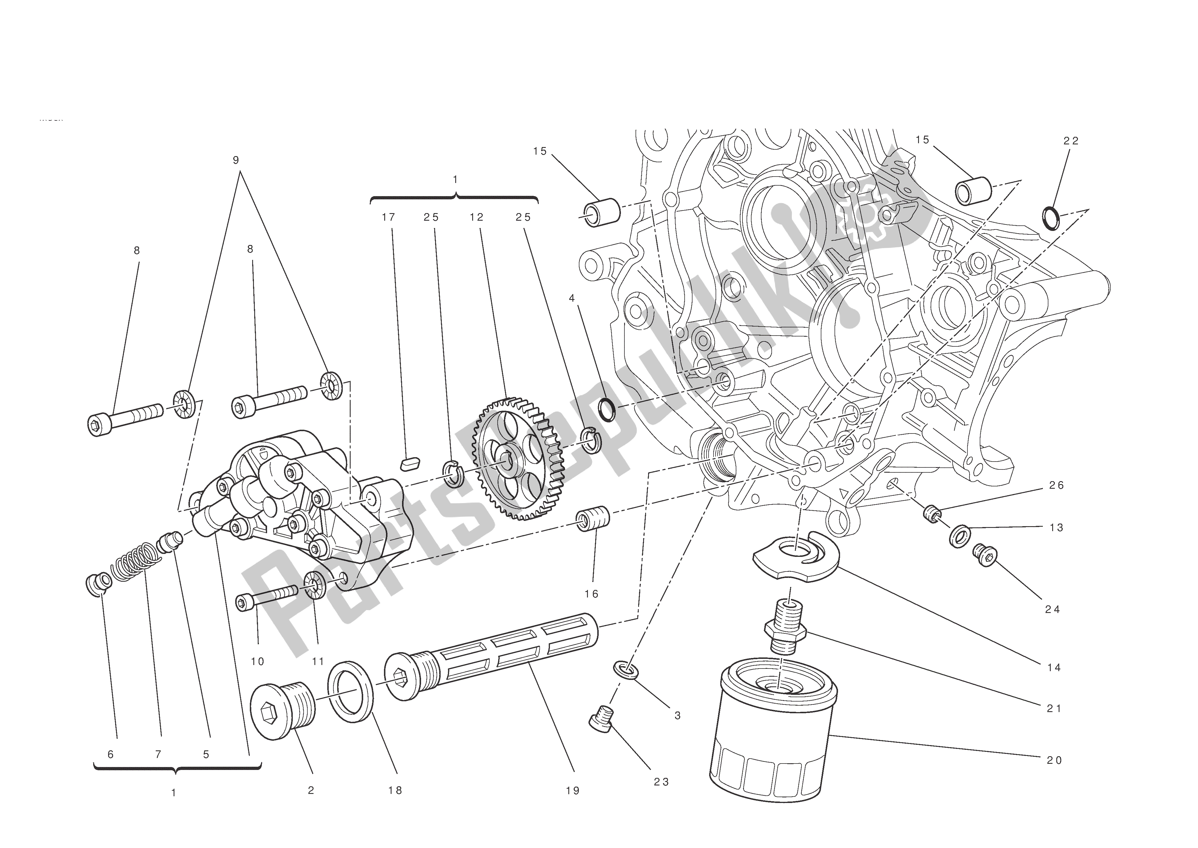 Tutte le parti per il Filtri E Pompa Dell'olio del Ducati Hypermotard EVO SP 1100 2010