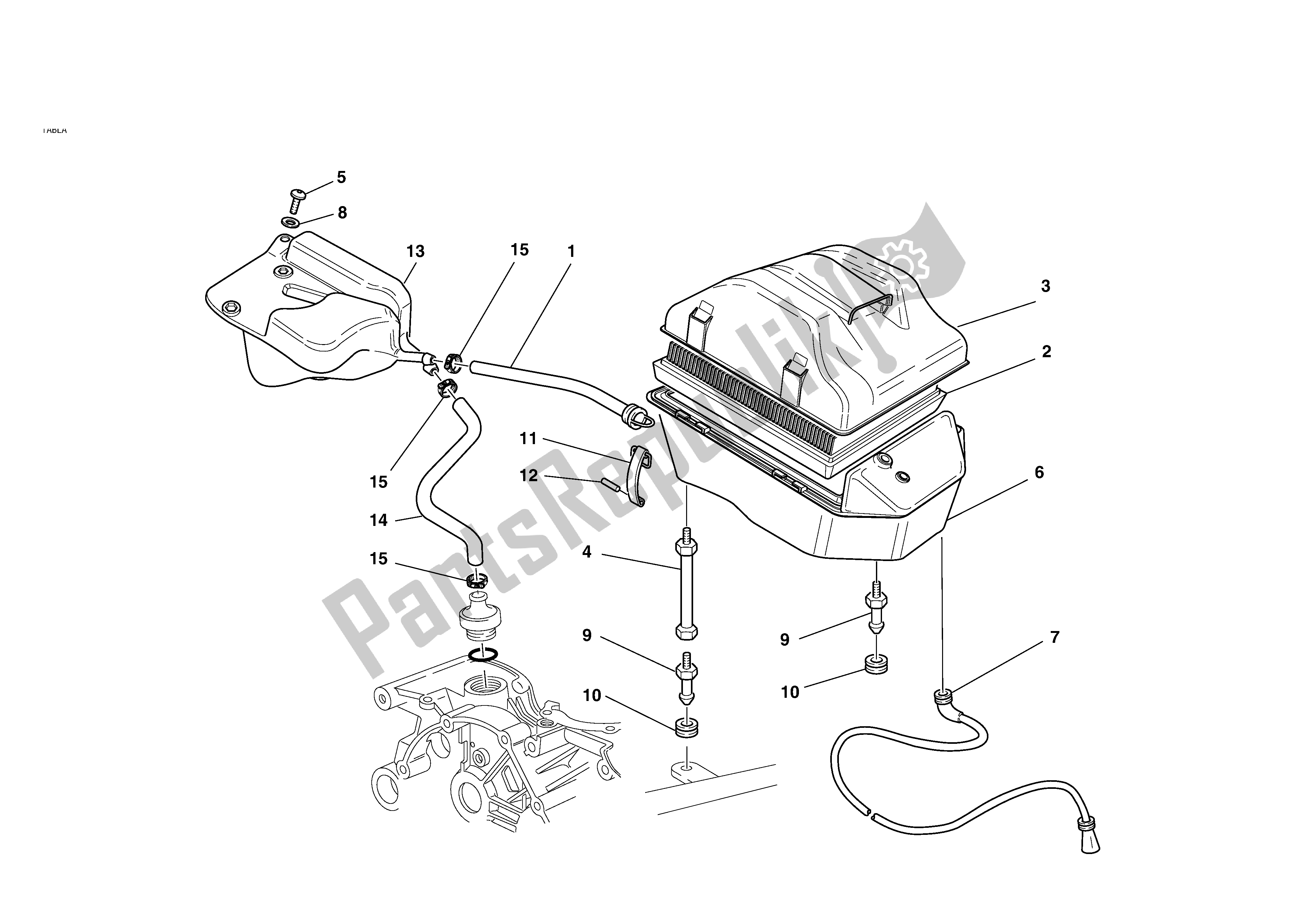 Tutte le parti per il Induzione D'aria E Solvente del Ducati Monster S 620 2003