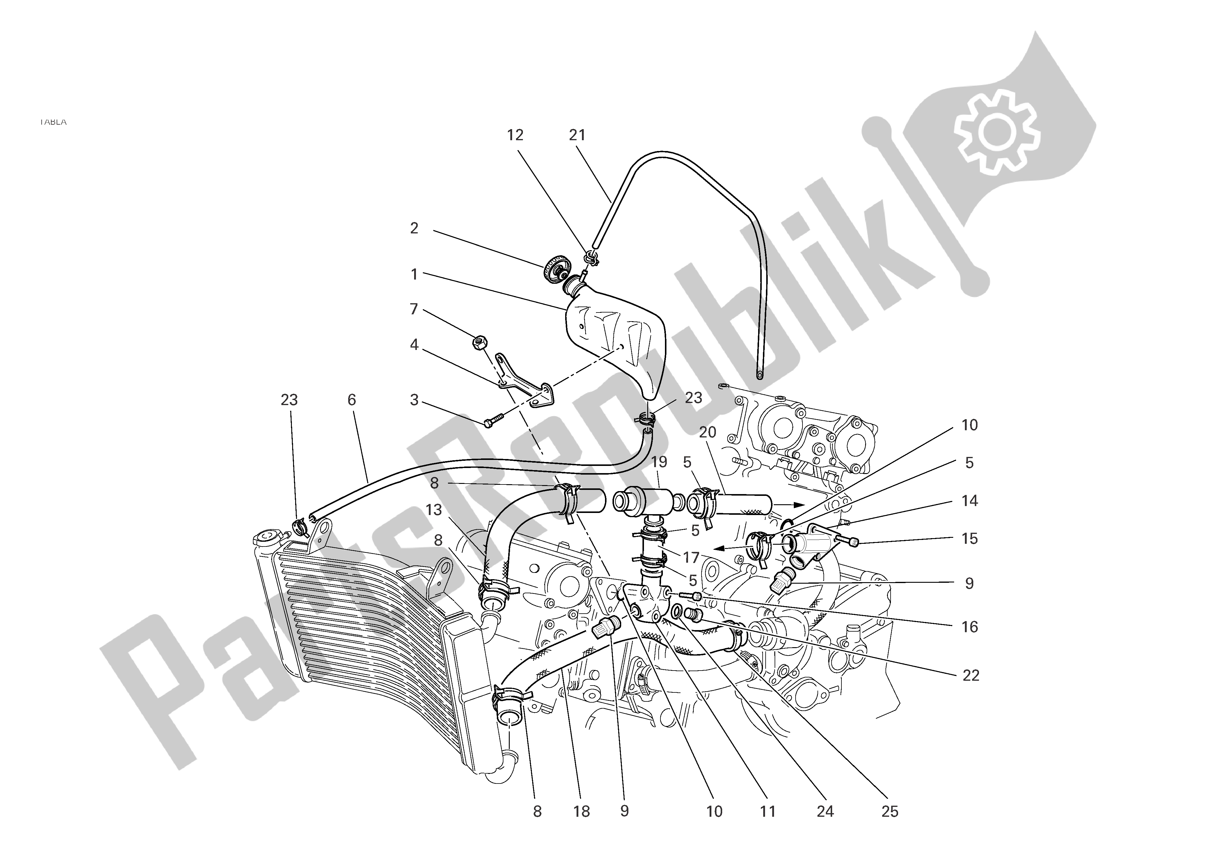 All parts for the Cooling Circuit of the Ducati Monster S4R 996 2004