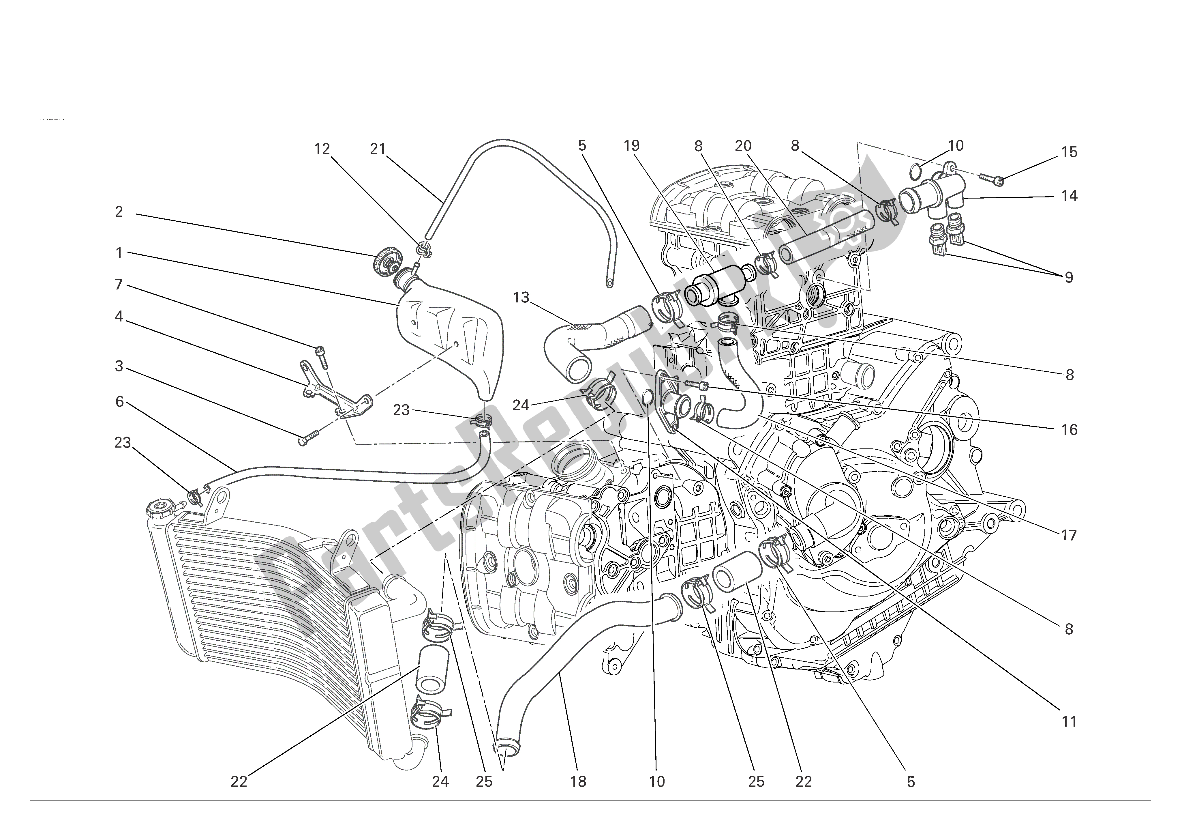 Alle onderdelen voor de Koelsysteem van de Ducati Monster S4R 1000 2007