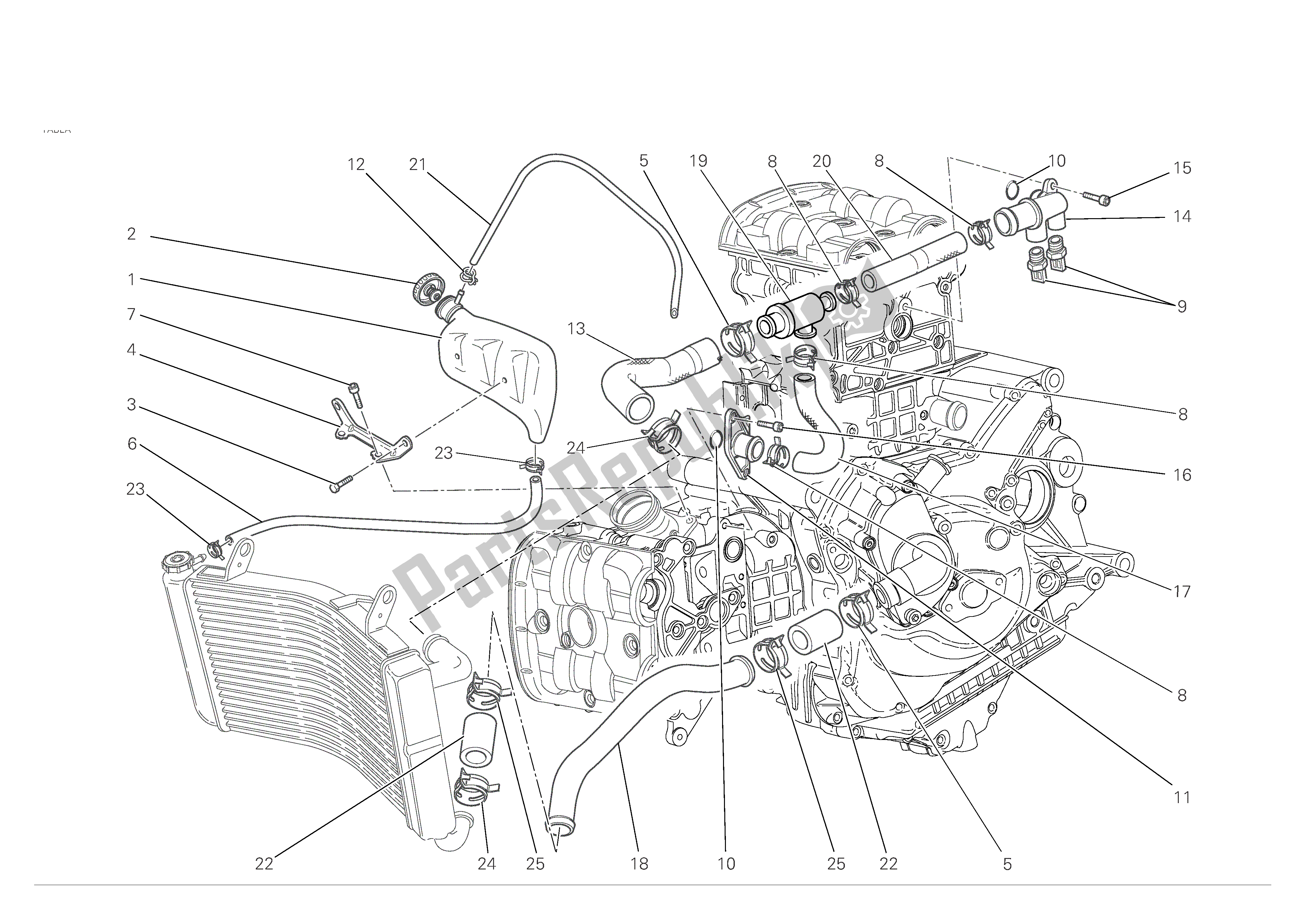 Alle onderdelen voor de Koelsysteem van de Ducati Monster S4 RS 1000 2007