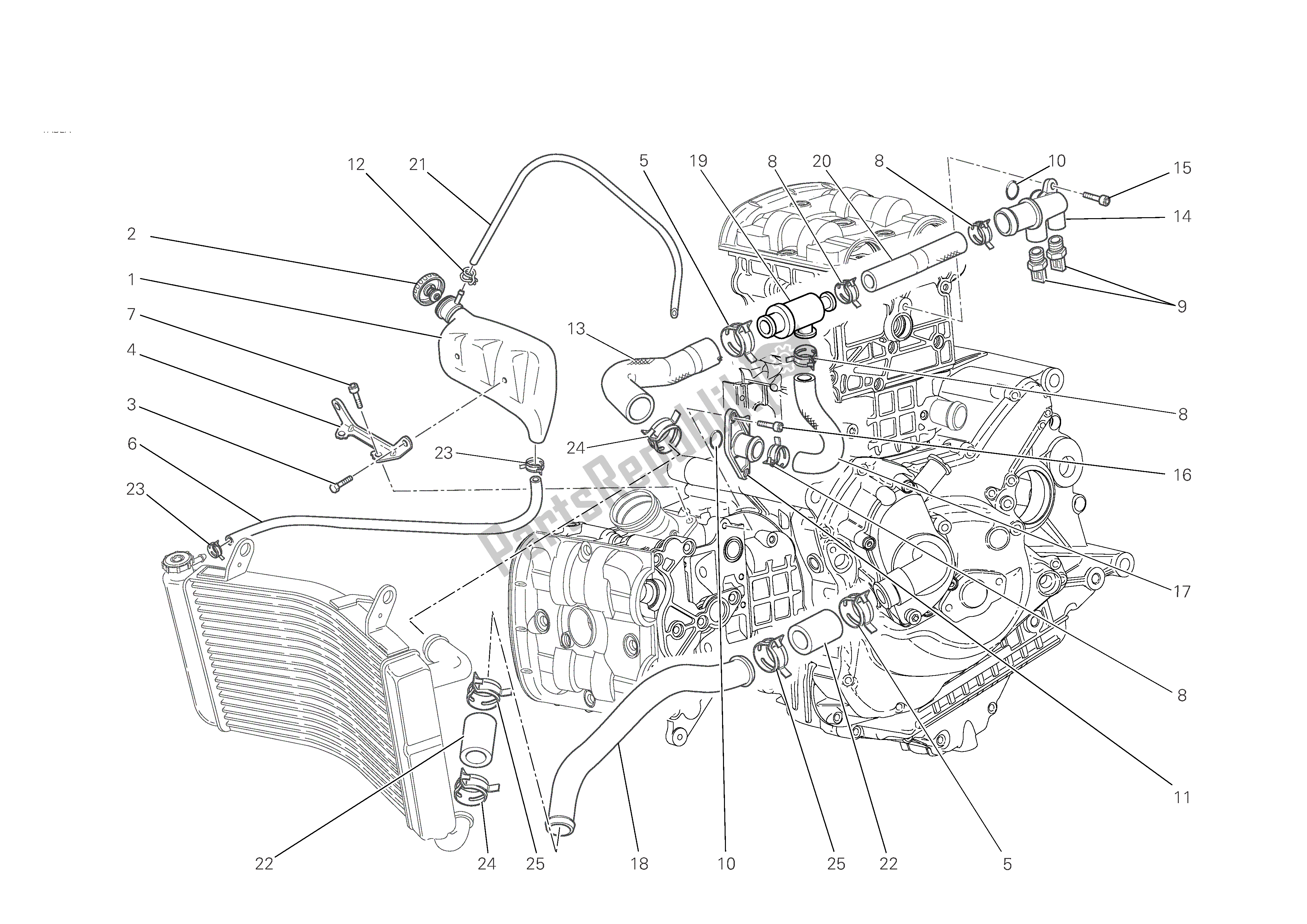 Tutte le parti per il Sistema Di Raffreddamento del Ducati Monster S4 RS 1000 2008