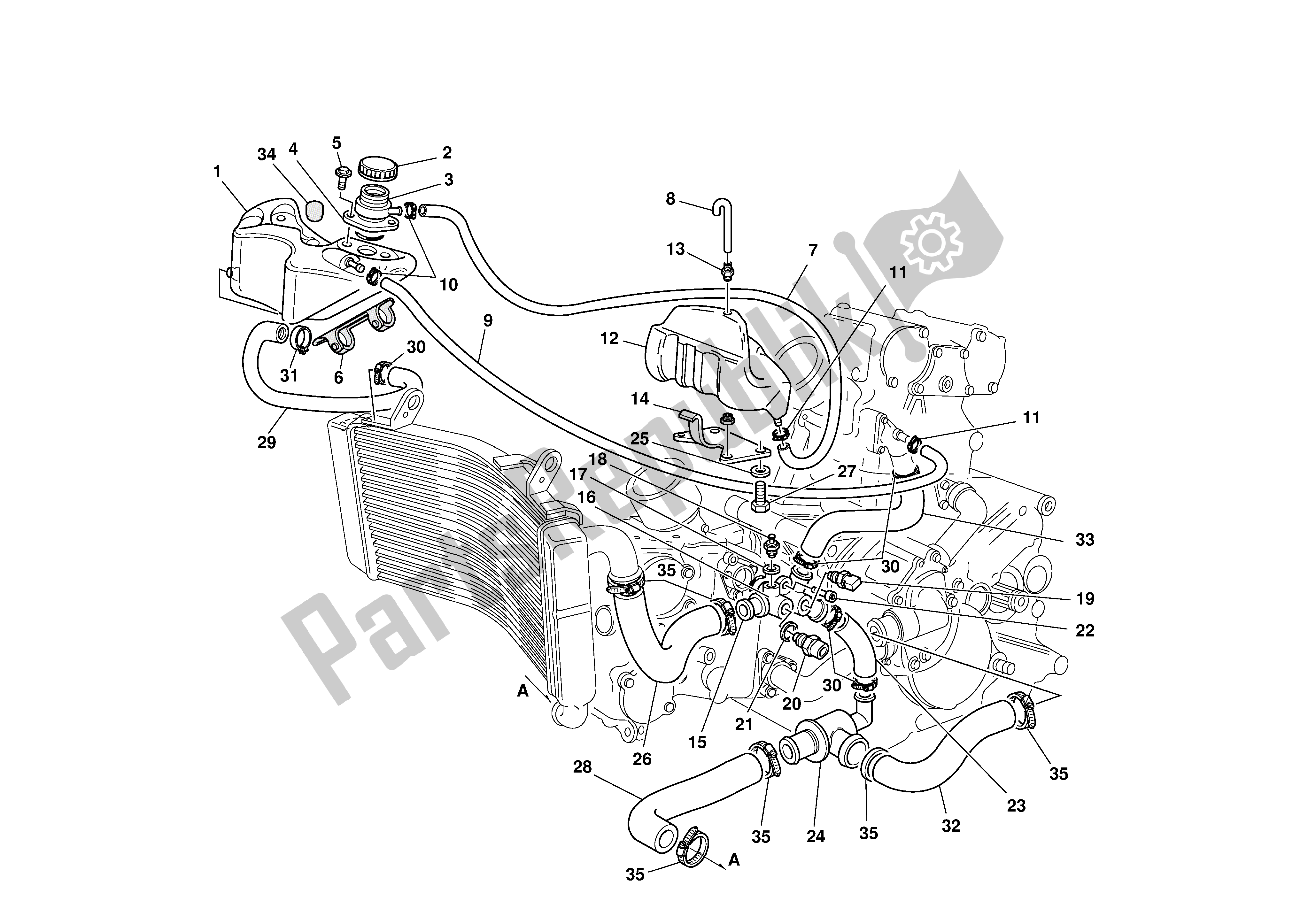 Tutte le parti per il Circuito Di Raffreddamento del Ducati 996S Biposto 2001