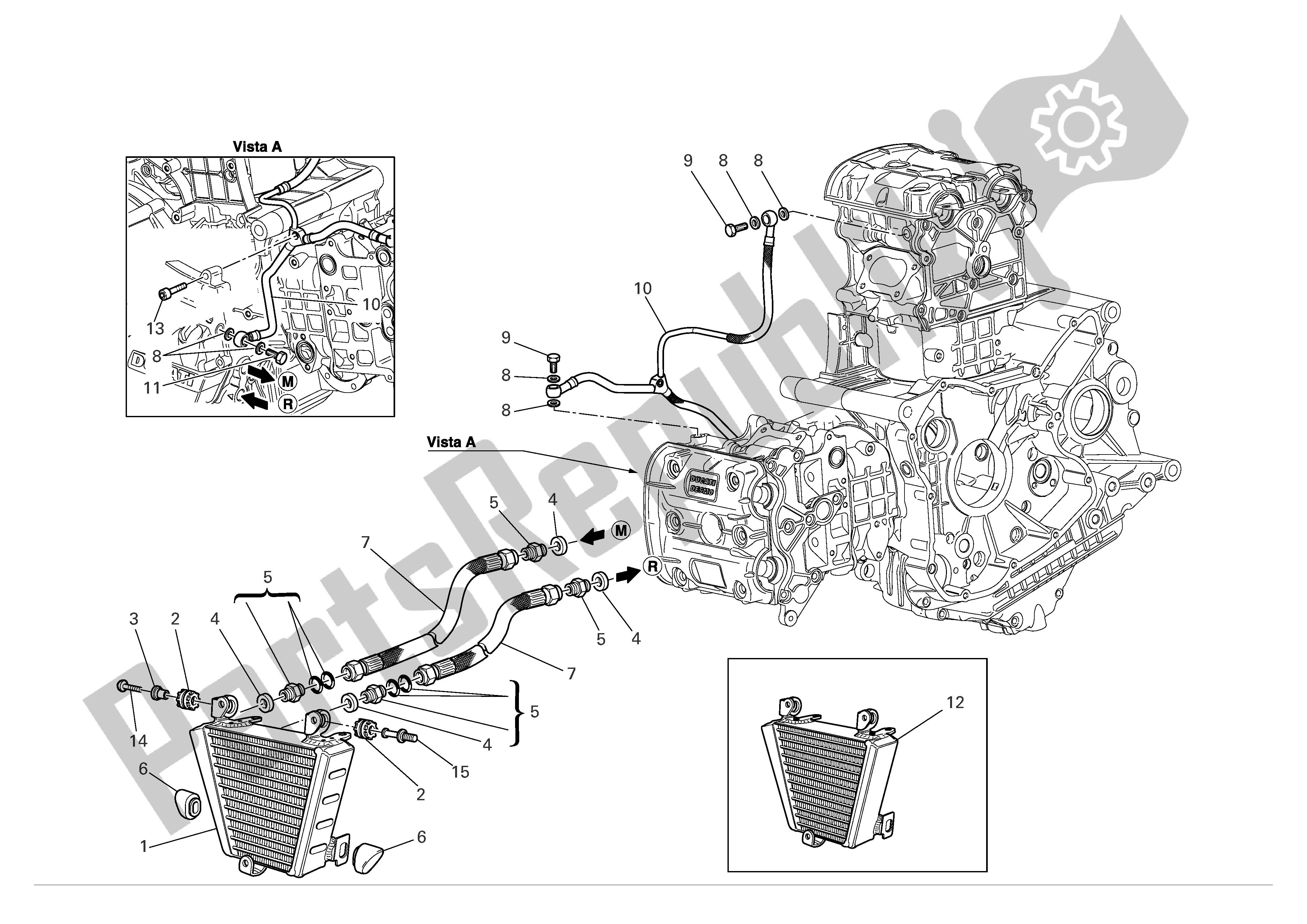 Tutte le parti per il Radiatore Dell'olio del Ducati 999 R Xerox 2006