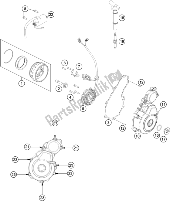 All parts for the Ignition System of the Gasgas EC 250F EU 2021