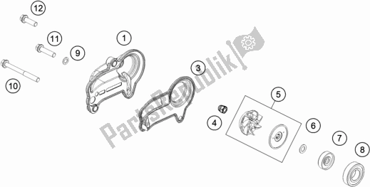 All parts for the Water Pump of the Gasgas EC 300 EU 2021