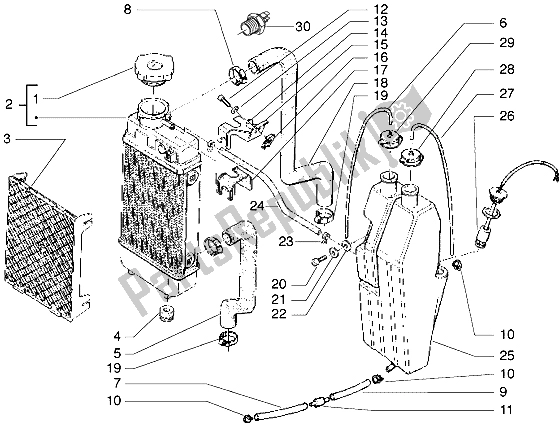 All parts for the Radiator of the Gilera GSM M Y 50 1998