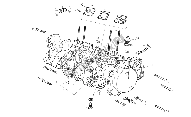 Tutte le parti per il Carter del Gilera RCR 50 2013