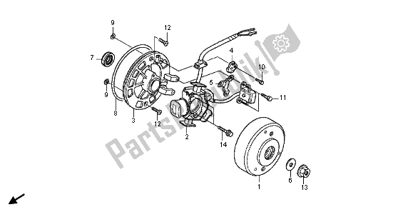 All parts for the Generator of the Honda CRF 50F 2013