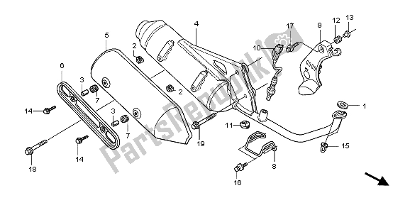 All parts for the Exhaust Muffler of the Honda SH 150S 2007