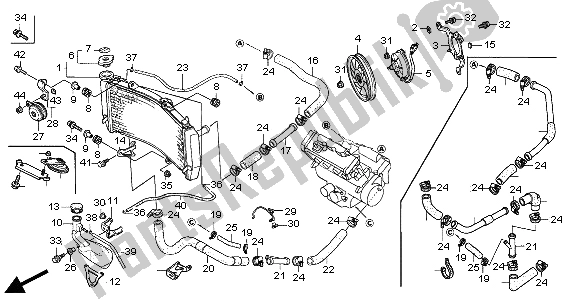 Todas as partes de Radiador do Honda CBR 600 RR 2004