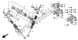 árbol de levas y válvula