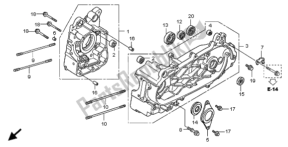 All parts for the Crankcase of the Honda SH 125D 2009