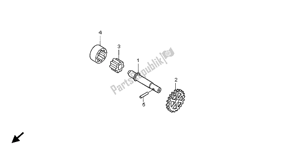 All parts for the Oil Pump of the Honda CRF 250X 2009