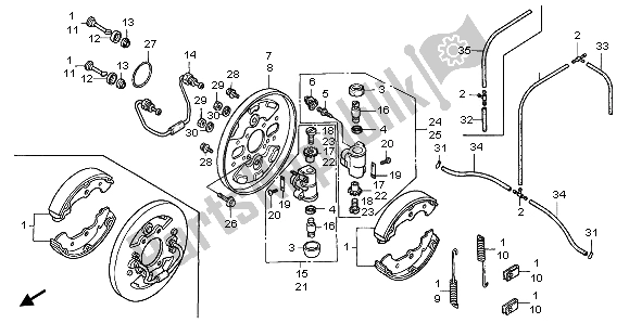 Todas las partes para Panel De Freno Delantero de Honda TRX 350 FE Rancher 4X4 ES 2001