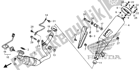 All parts for the Exhaust Muffler of the Honda NC 700D 2013