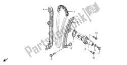 cadena de levas y tensor