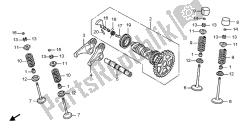 árbol de levas y válvula