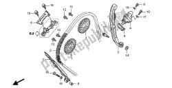 CAM CHAIN & TENSIONER