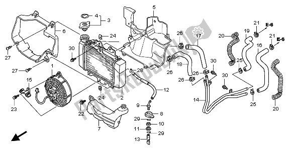 All parts for the Radiator of the Honda SH 125 2008