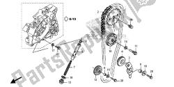 CAM CHAIN & TENSIONER