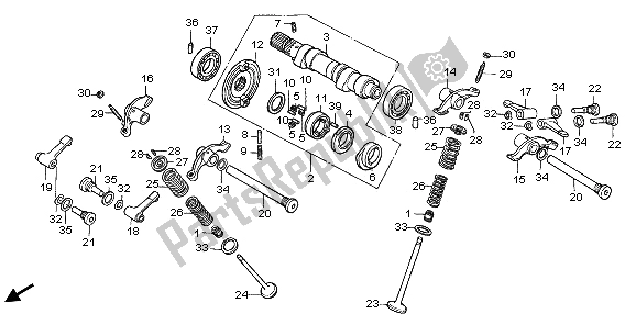 Tutte le parti per il Albero A Camme E Valvola del Honda NX 650 1995