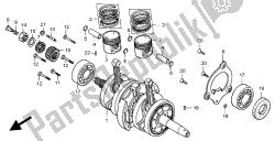 PISTON & CRANKSHAFT