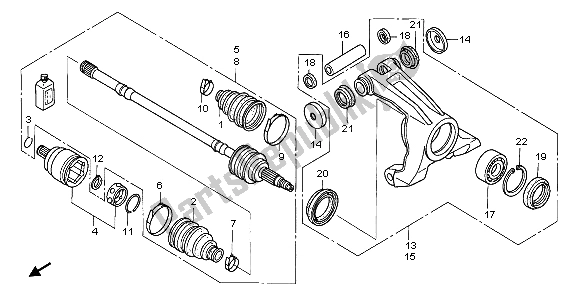 All parts for the Rear Knuckle of the Honda TRX 650 FA Fourtrax Rincon 2004