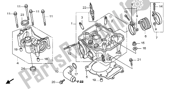 All parts for the Cylinder Head of the Honda CRF 150R SW 2007