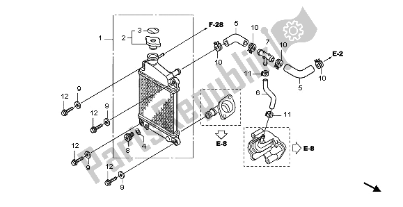 All parts for the Radiator of the Honda NHX 110 WH 2012
