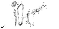 cadena de levas y tensor