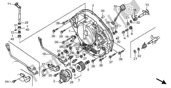 Todas las partes para Tapa Del Cárter Derecho de Honda TRX 300 EX Sporttrax 2001