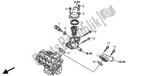 Tutte le parti per il Termostato del Honda CBR 600 RA 2011