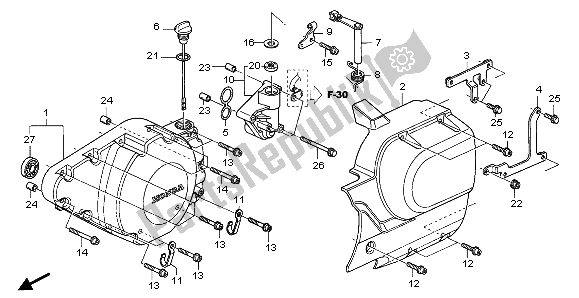 All parts for the Left Crankcase Cover of the Honda VTX 1300S 2007