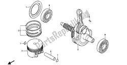 PISTON & CRANKSHAFT