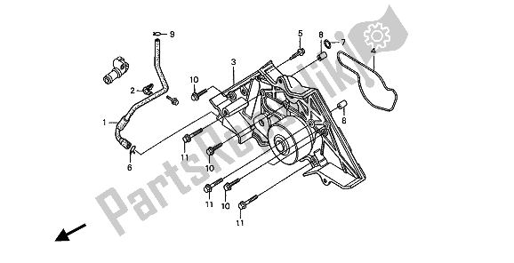 All parts for the Water Pump of the Honda ST 1100 1994