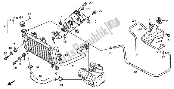 Alle onderdelen voor de Radiator van de Honda XL 125V 2008