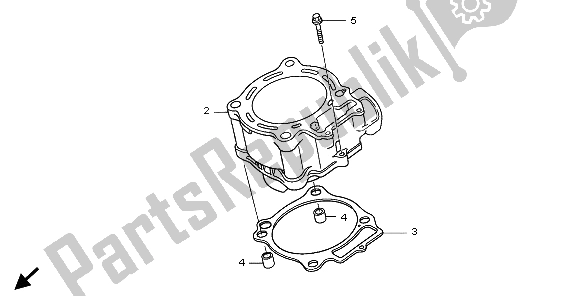 All parts for the Cylinder of the Honda CRF 250X 2009